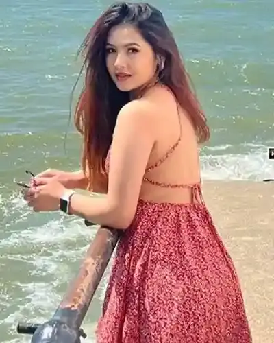 Safdarjung Enclave Escort Service